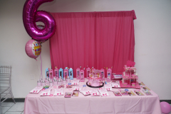 Alani-6th-birthday-1
