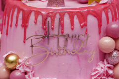 Alani-6th-birthday-12