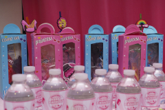 Alani-6th-birthday-16