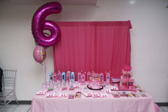 Alani-6th-birthday-2