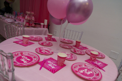 Alani-6th-birthday-26