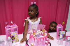 Alani-6th-birthday-298