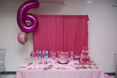 Alani-6th-birthday-3