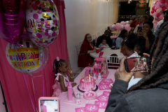 Alani-6th-birthday-309