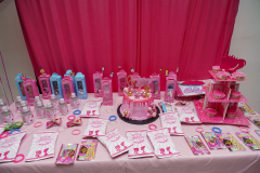 Alani-6th-birthday-4