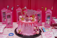 Alani-6th-birthday-5