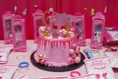 Alani-6th-birthday-6