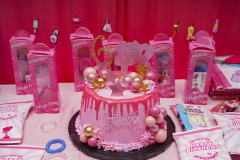 Alani-6th-birthday-8