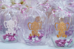 Geaz-and-Will-babby-shower-13