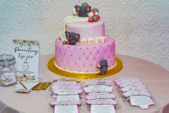 Geaz-and-Will-babby-shower-18
