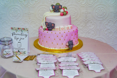 Geaz-and-Will-babby-shower-19