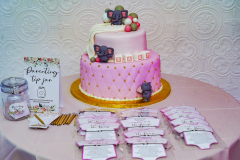 Geaz-and-Will-babby-shower-20